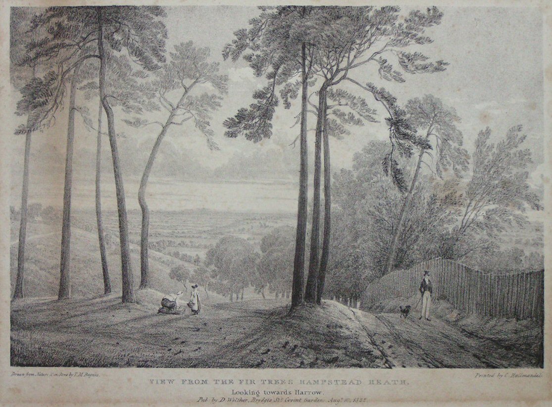 Lithograph - View from the Fir Trees Hampstead Heath.